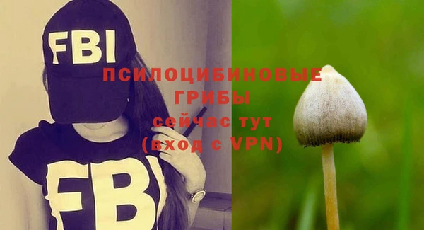 крисы Алексеевка