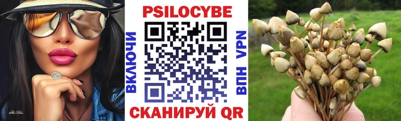 блэк спрут вход  Белгород  Галлюциногенные грибы Magic Shrooms  где можно купить наркотик 